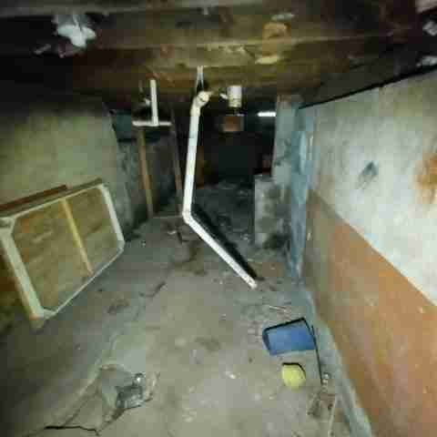 8031 conger (72).jpg